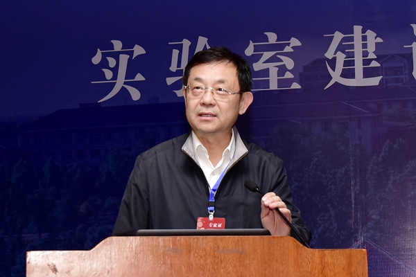 作报告 作报告