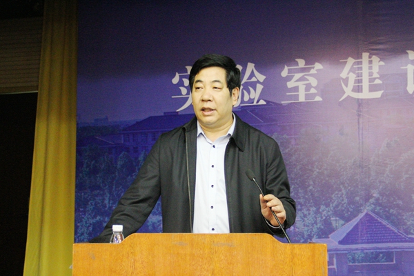 作报告 作报告