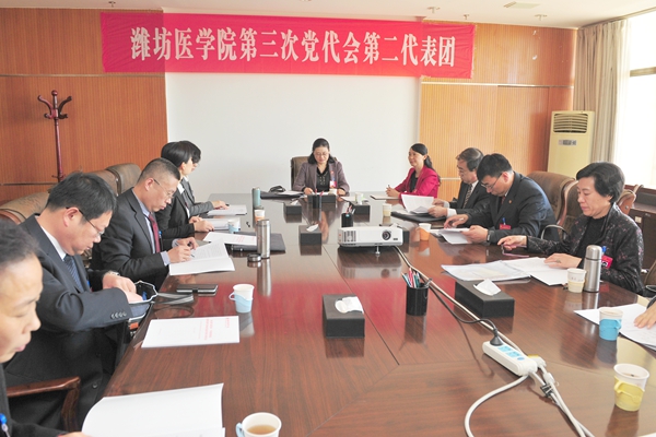第二代表团 第二代表团