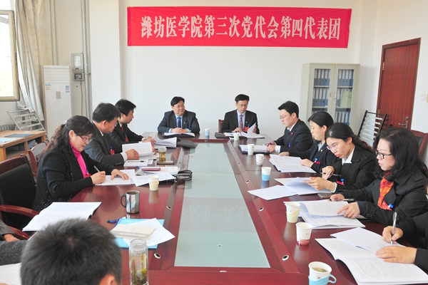 第四代表团 第四代表团