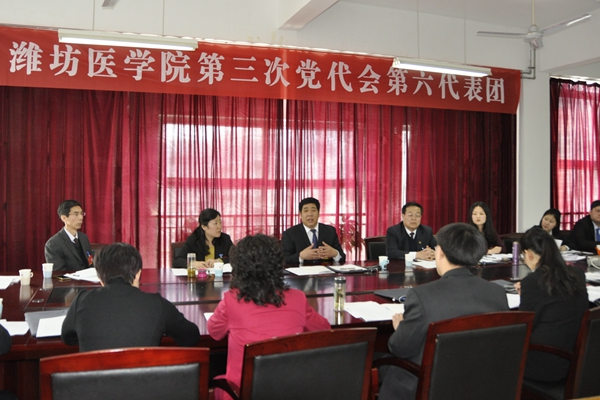 第六代表团 第六代表团