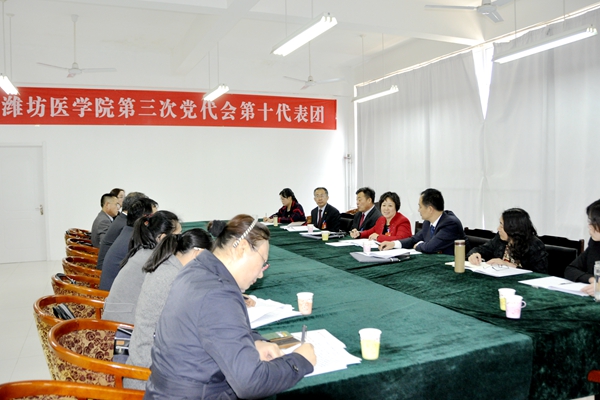 第十代表团 第十代表团