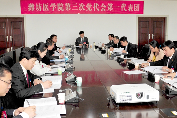 第一代表团 第一代表团