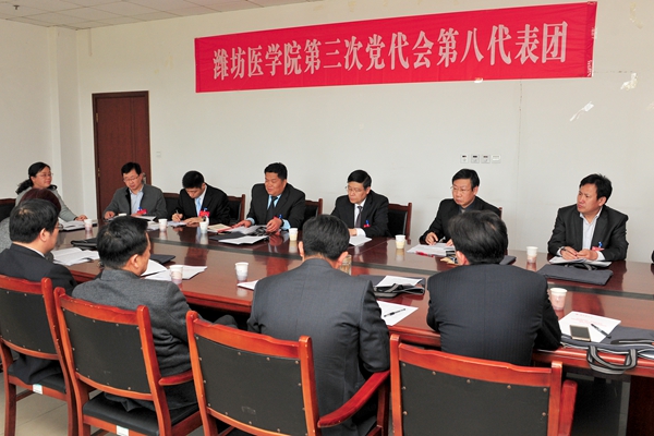 第八代表团 第八代表团