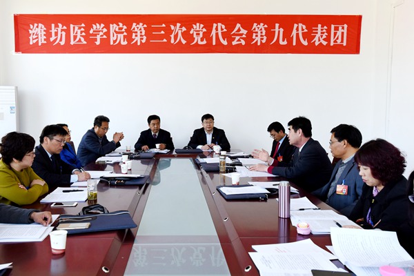 第九代表团 第九代表团
