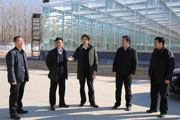 查看建设中的三春集镇现代农业扶贫生态园区(春博园) 查看建设中的三春集镇现代农业扶贫生态园区(春博园)